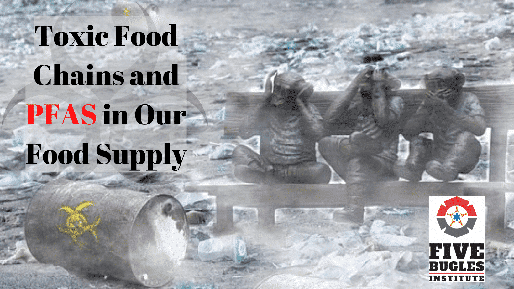 Toxic Food Chains and PFAS in Our Food Supply